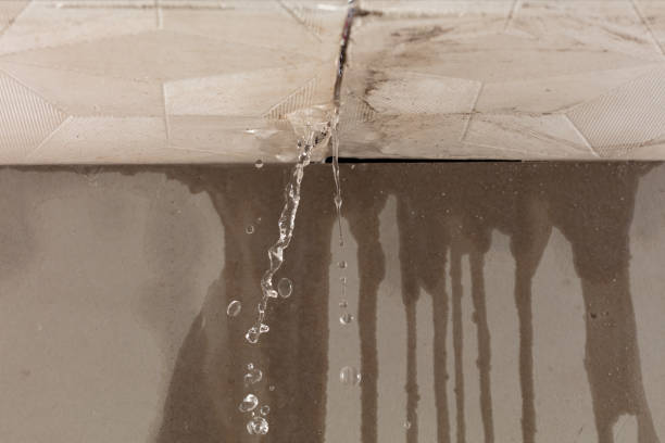 Professional Sewage Cleanup technician working in Hollywood, FL